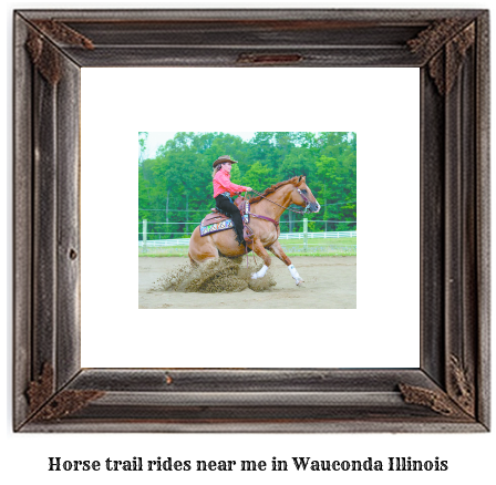 horse trail rides near me in Wauconda, Illinois